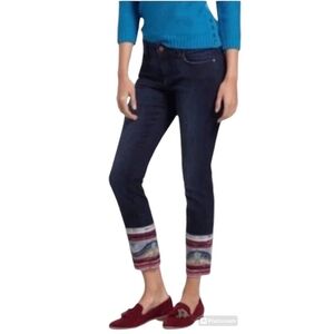 Anthropologie Pilcro and the Letterpress jeans NWOT